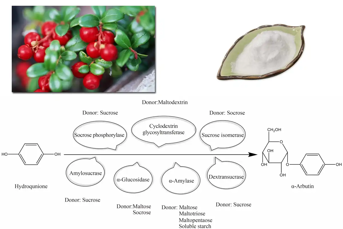 Alpha Arbutin Pure.jpg Alpha Arbutin Pure.jpg